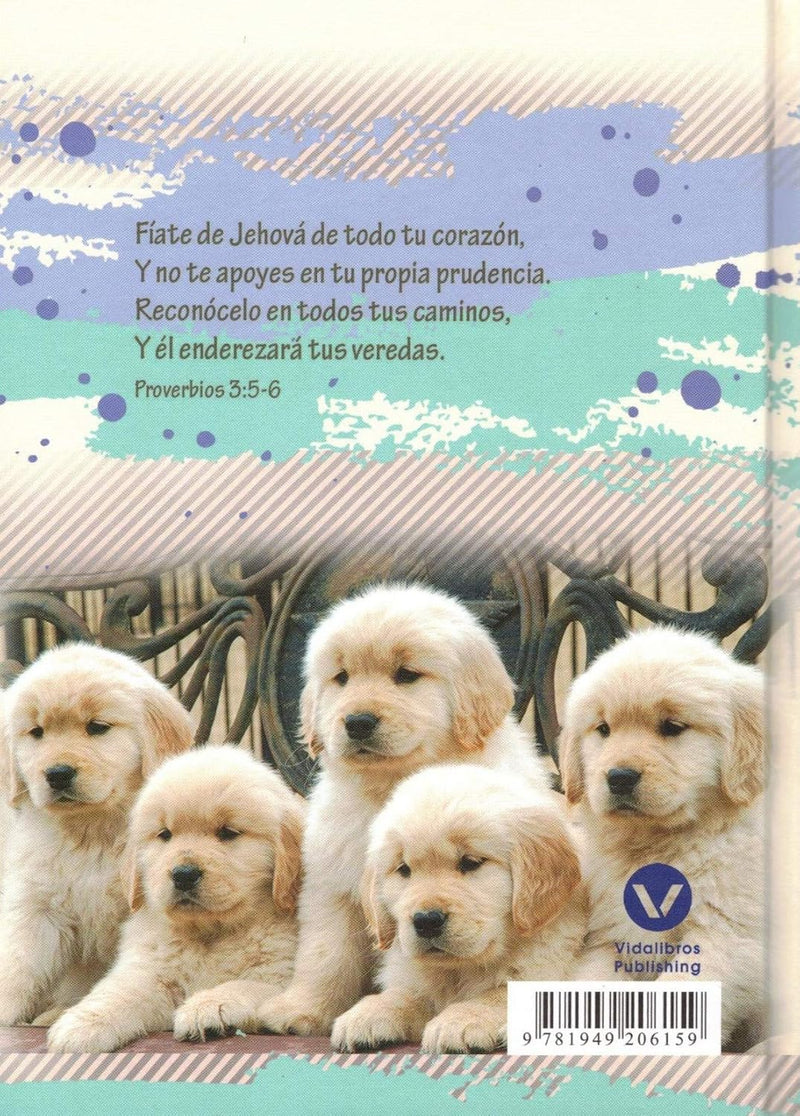 Cargue la imagen en el visor de la galería, Libreta Cada día sin preocupaciones - Mateo 6:25-34, tapa dura
