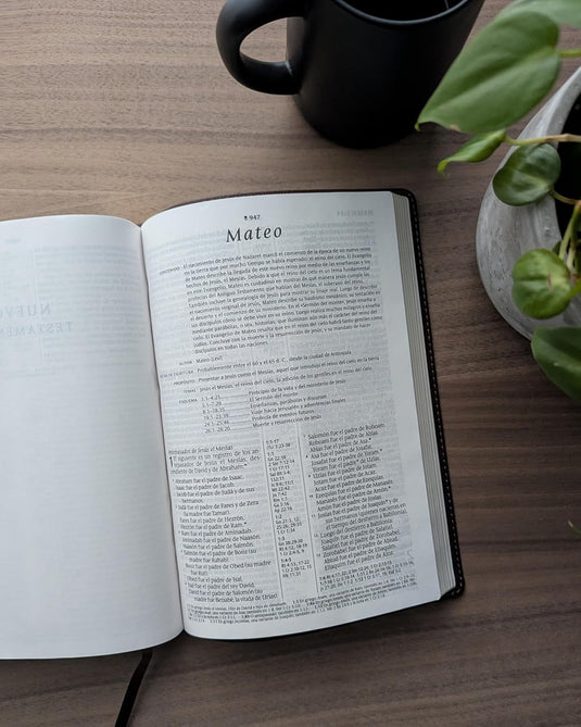 Biblia de referencia en la columna central NTV con Filament, Letra Grande, SentiPiel café
