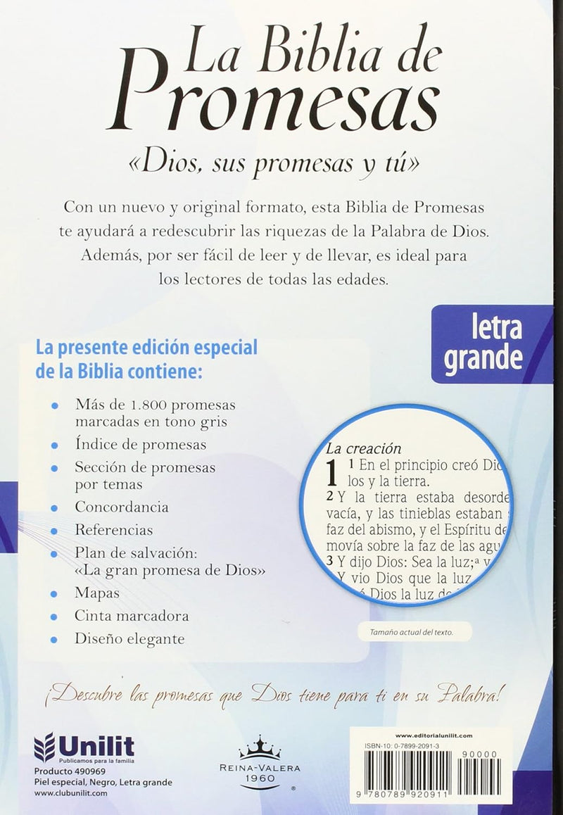 Cargue la imagen en el visor de la galería, La Biblia de promesas RVR 1960, Letra grande
