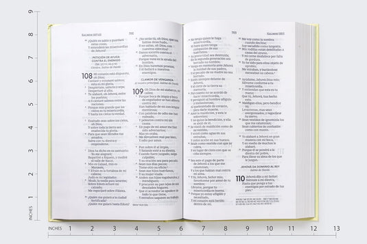 Biblia Premio y Regalo RVR 1960, Letra grande, Tapa dura Floral