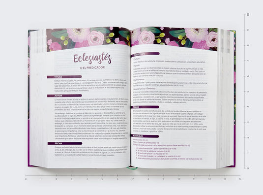 Biblia de estudio para la mujer RVR 1960, Verdad, esperanza y transformación para el corazón, Tapa dura