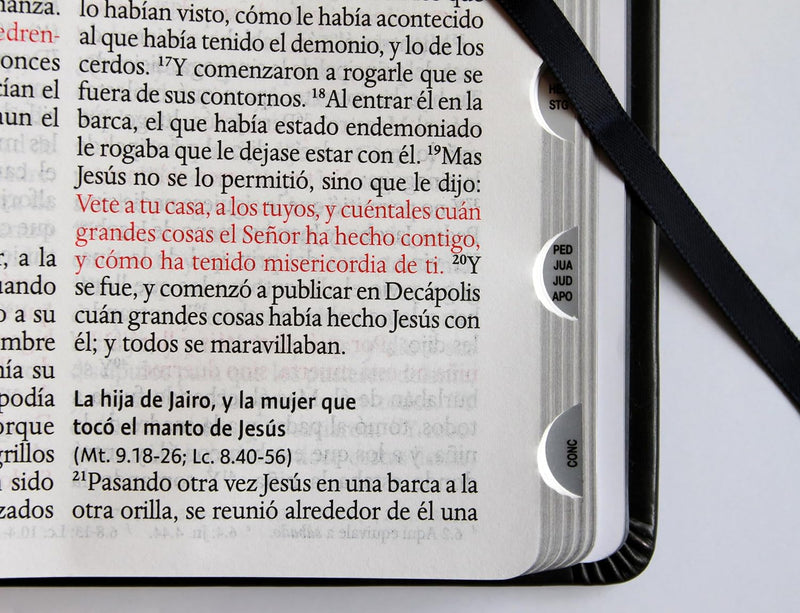 Cargue la imagen en el visor de la galería, Biblia RVR 1960 León de Judá, Letra Grande, con índice, edición especial plata
