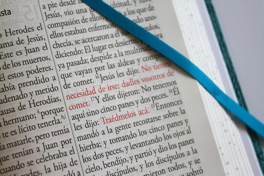 Biblia RVR 1960, Tamaño Manual, Letra Gigante, símil piel azul con pájaros