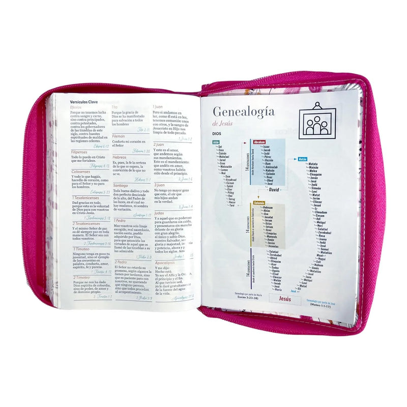Cargue la imagen en el visor de la galería, Biblia RVR 1960, Tamaño portátil, Cierre zíper, Letra Grande, imitación piel fucsia primaveral
