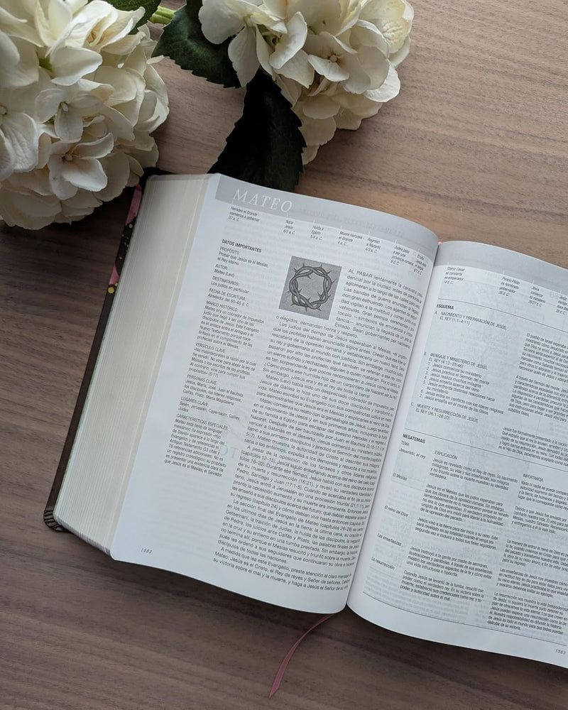 Cargue la imagen en el visor de la galería, Biblia de estudio del Diario Vivir NTV, SentiPiel café/rosa
