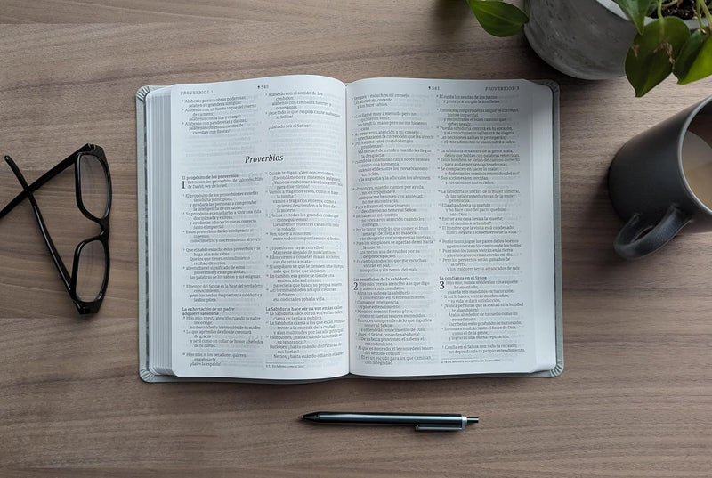 Cargue la imagen en el visor de la galería, Biblia valor premium NTV con Filament, Letra Grande, SentiPiel gris
