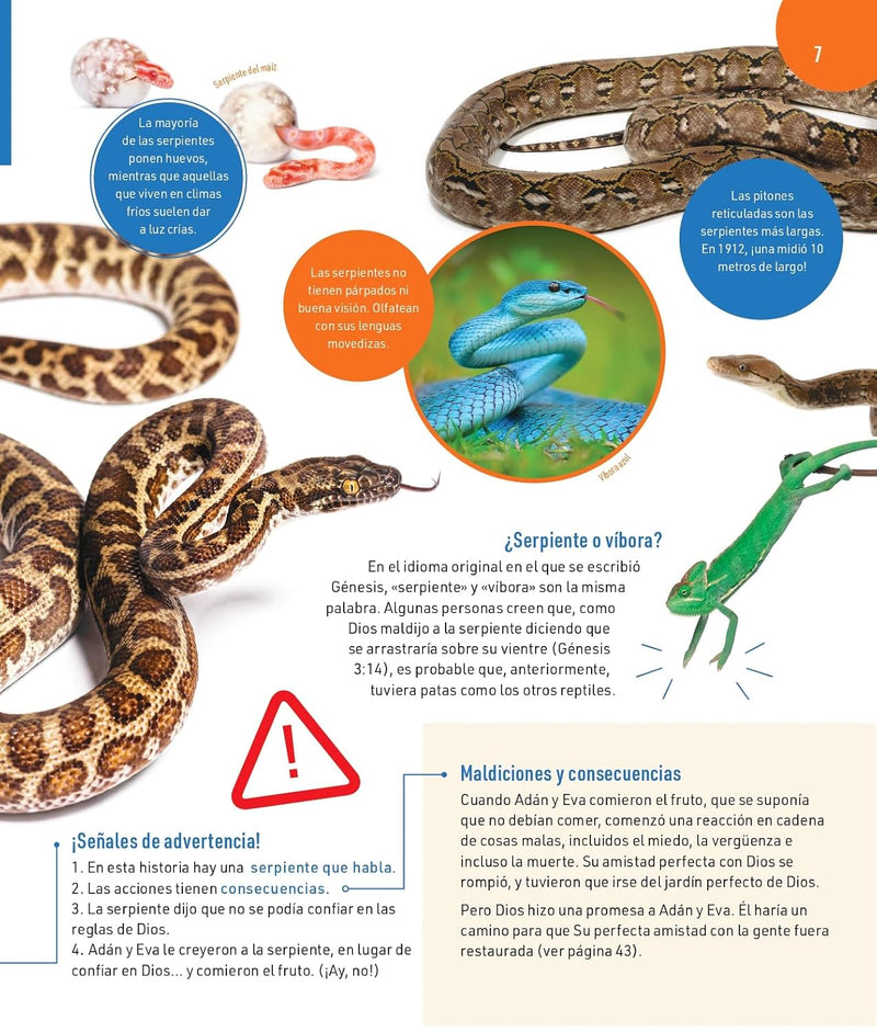 Cargue la imagen en el visor de la galería, Todo sobre los animales de la Biblia

