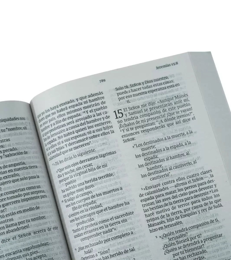 Cargue la imagen en el visor de la galería, Santa Biblia NVI, Letra Grande, Tapa Rústica Multicolor
