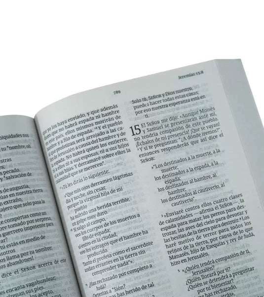 Santa Biblia NVI, Letra Grande, Tapa Rústica Azul