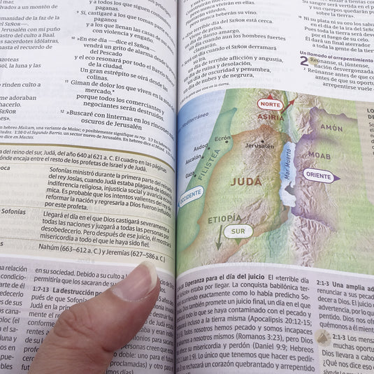 Biblia de estudio del Diario Vivir para jóvenes NTV, con Filament, tapa dura