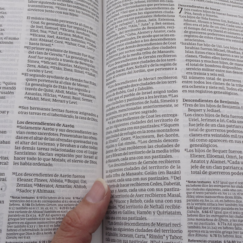 Cargue la imagen en el visor de la galería, Biblia ultrafina NTV, con Filament, imitación piel café
