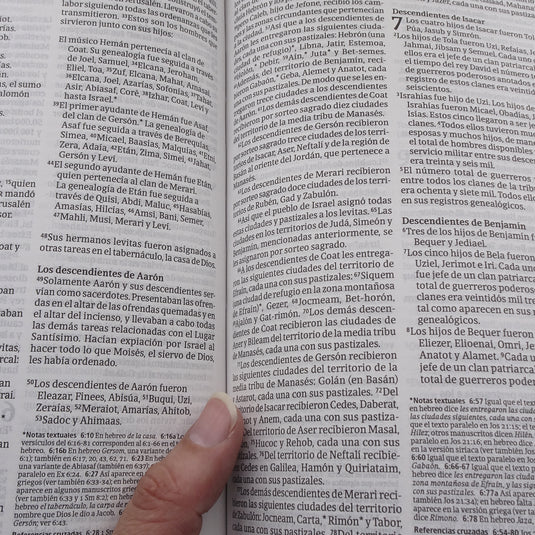 Biblia ultrafina NTV, con Filament, imitación piel café