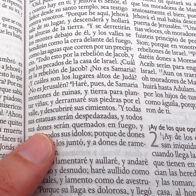 Cargue la imagen en el visor de la galería, Biblia RVR 1960, Letra Grande, Tamaño Manual, tapa dura blanca flores
