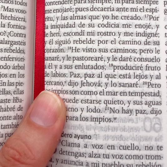 Biblia RVR 1960, Letra Grande, Tamaño Manual, tapa dura corazón marrón