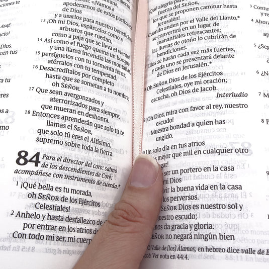 Santa Biblia NTV, Edición personal, Letra Grande, imitación piel rosado metálico