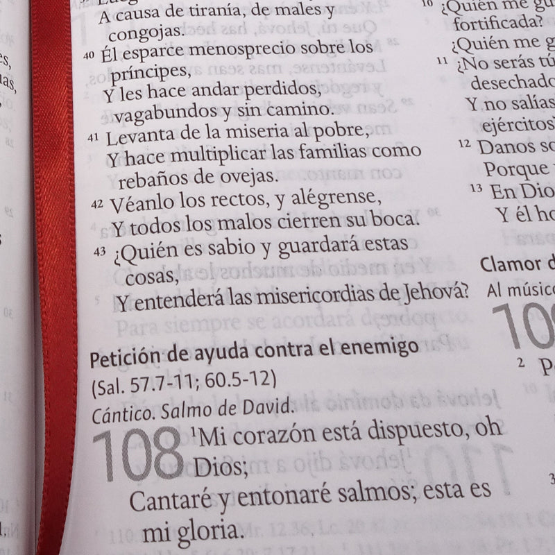 Cargue la imagen en el visor de la galería, Biblia ultrafina RVR 1960, Tamaño Manual, Cierre zíper, Letra Grande, símil piel café
