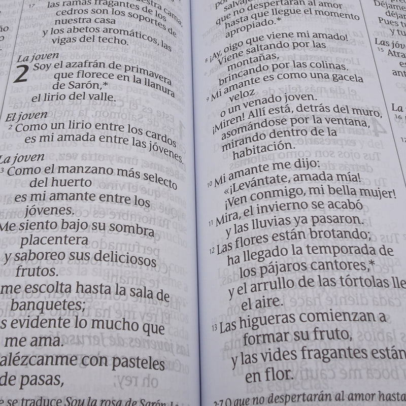 Cargue la imagen en el visor de la galería, Biblia NTV, Letra Súper Gigante, con índice, imitación piel beige pájaro
