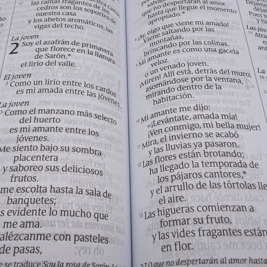 Biblia NTV, Letra Súper Gigante, con índice, imitación piel beige pájaro