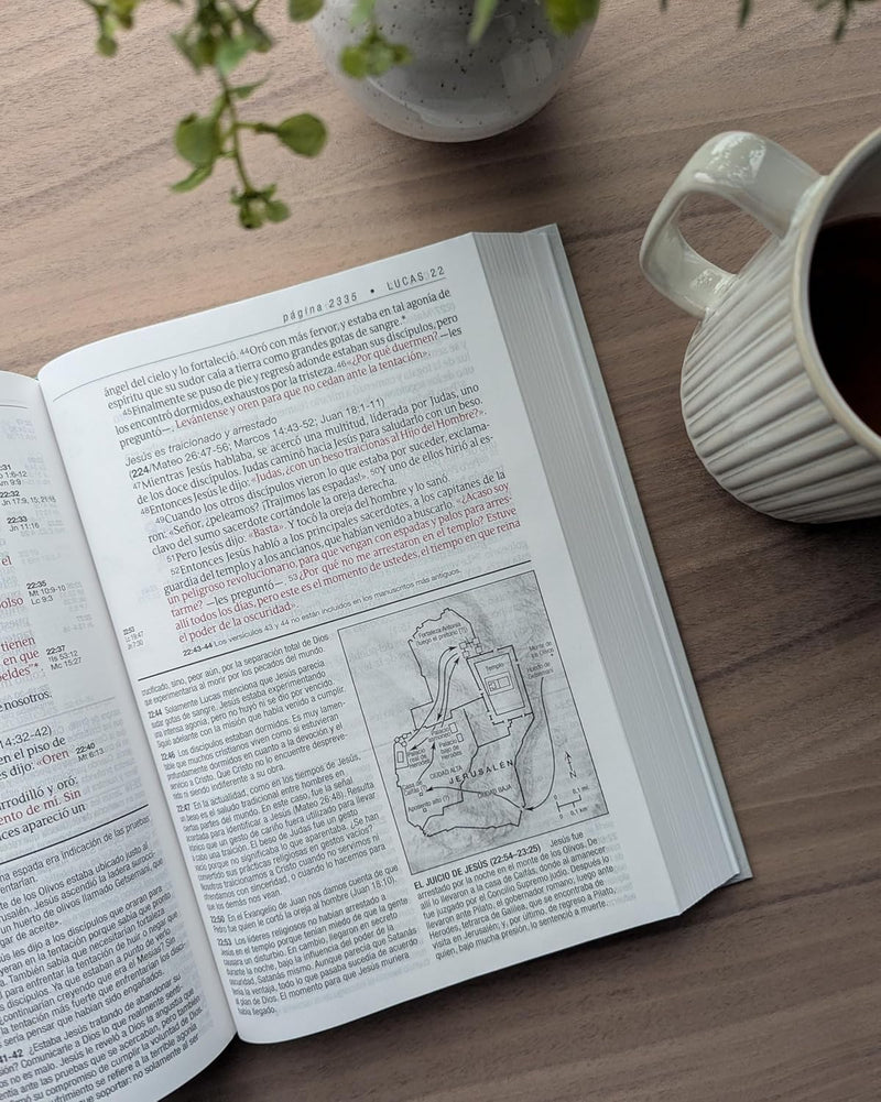 Cargue la imagen en el visor de la galería, Biblia de estudio del diario vivir NTV, Letra Grande, Tapa dura
