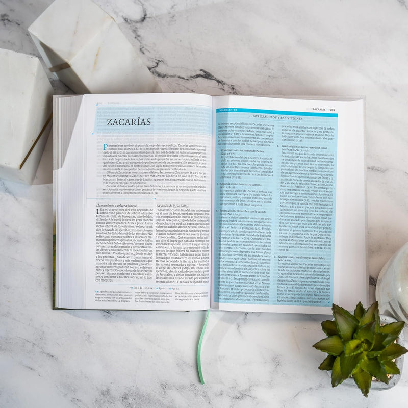 Cargue la imagen en el visor de la galería, Biblia de estudio de César Vidal RVR 1960, tapa dura
