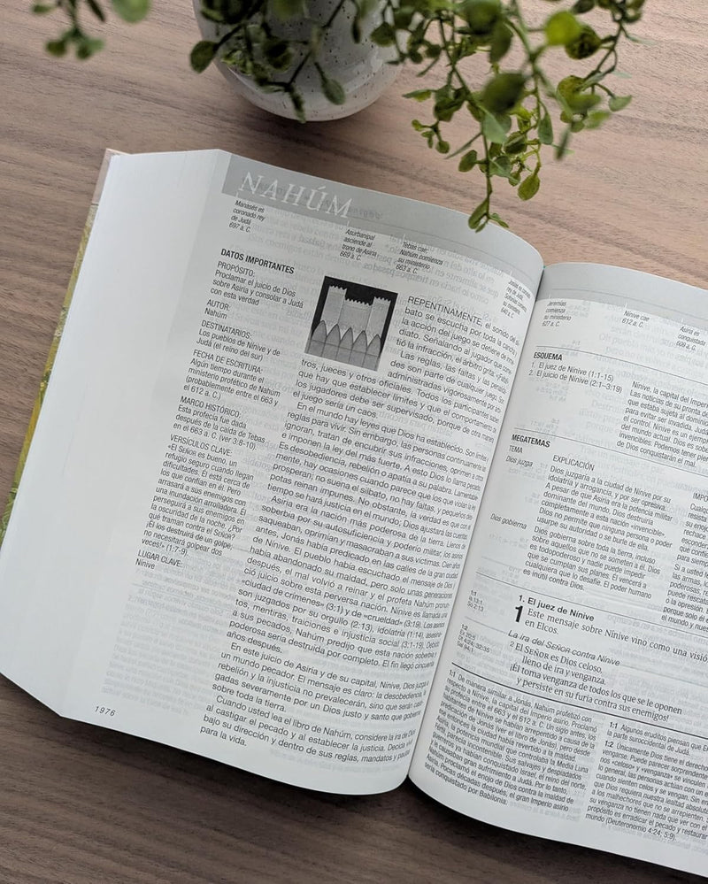 Cargue la imagen en el visor de la galería, Biblia de estudio del diario vivir NTV, Letra Grande, Tapa dura
