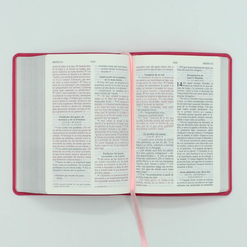 Cargue la imagen en el visor de la galería, Biblia NVI letra grande - Tamaño mediano - Fucsia
