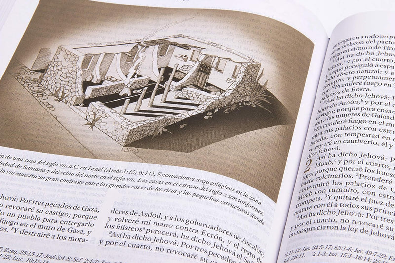 Cargue la imagen en el visor de la galería, Biblia de Estudio para Mujeres RVR 1960, tapa dura
