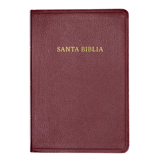 Biblia RVR 1960, Letra Gigante, imitación piel borgoña