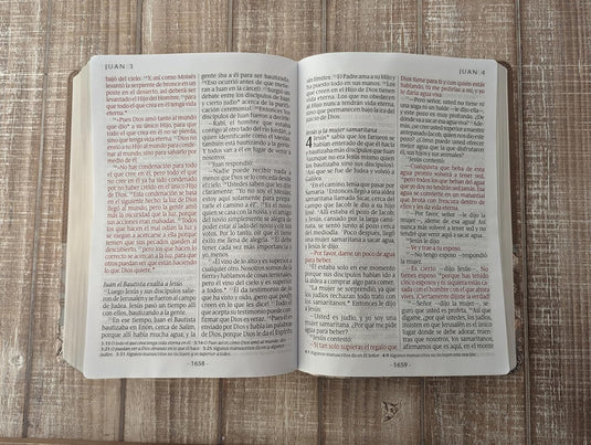 Biblia NTV, Letra Súper Gigante, con índice, imitación piel beige pájaro