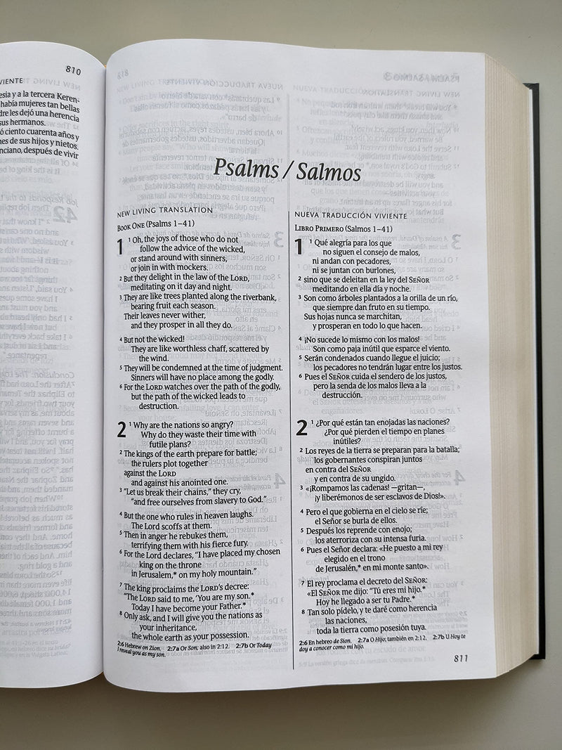 Cargue la imagen en el visor de la galería, Biblia Bilingüe NLT/NTV
