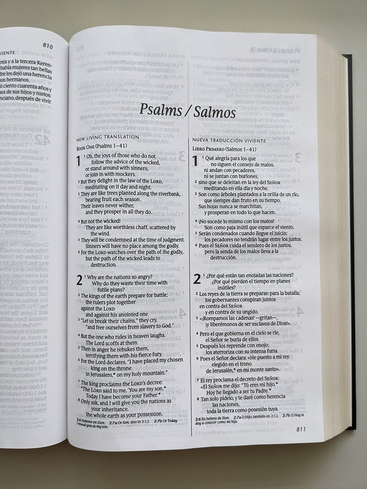 Biblia Bilingüe NLT/NTV