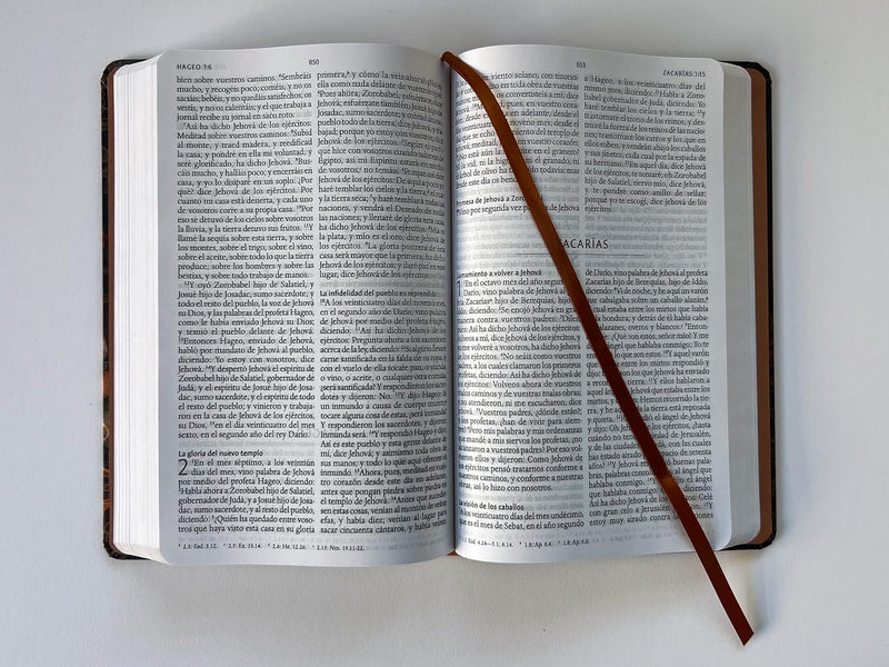 Cargue la imagen en el visor de la galería, Biblia RVR 1960, Letra Grande, tapa dura/tela Jesús sana

