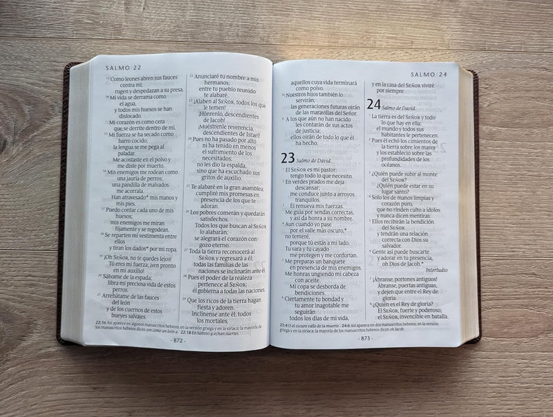 Cargue la imagen en el visor de la galería, Biblia NTV, Tamaño Manual, Letra Súper Gigante, imitación piel café Cruz
