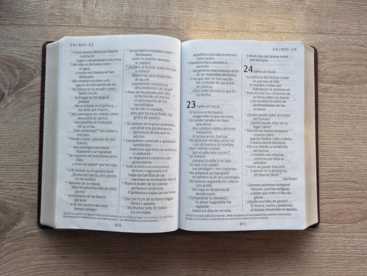 Biblia NTV, Tamaño Manual, Letra Súper Gigante, imitación piel café Cruz