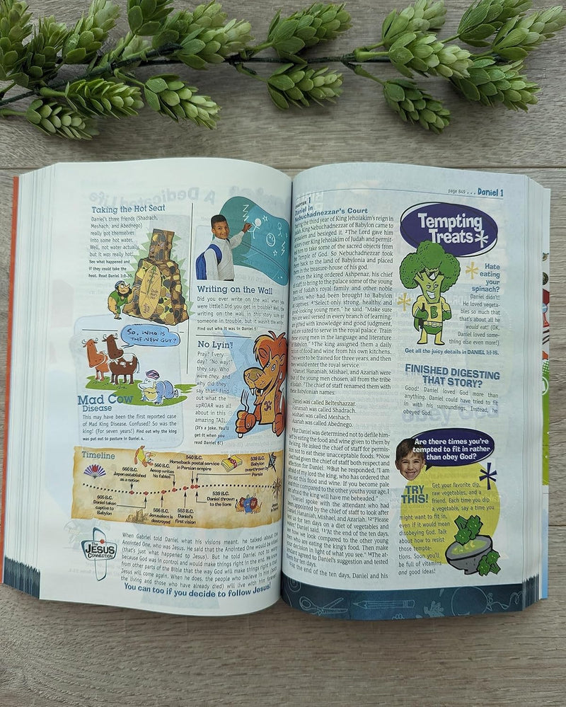 Cargue la imagen en el visor de la galería, NLT Hands-On Bible, Third Edition
