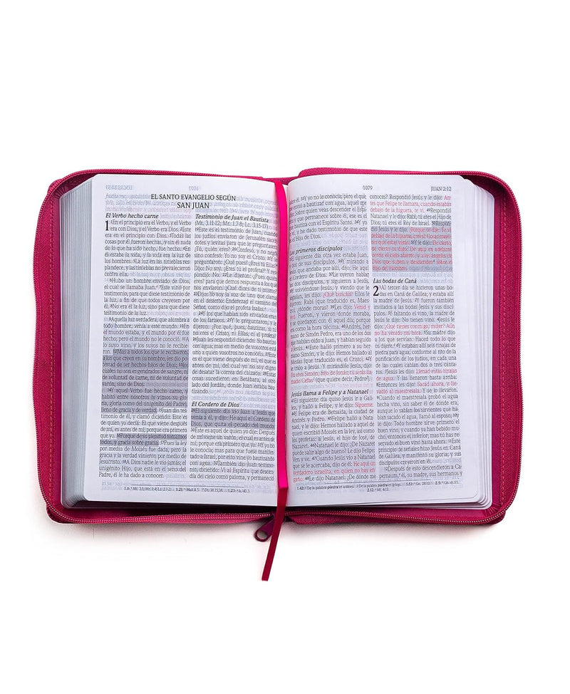 Cargue la imagen en el visor de la galería, Biblia de Promesas RVR 1960, Tamaño Manual, Cierre zíper, Letra Grande, piel especial fucsia
