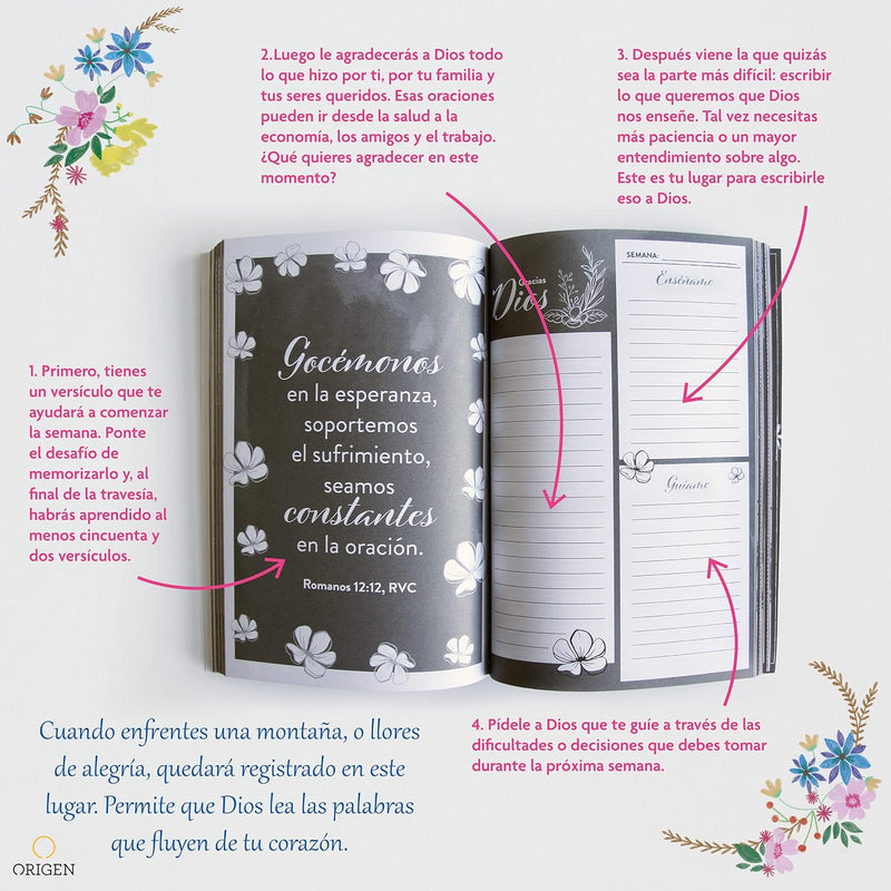 Cargue la imagen en el visor de la galería, Oraciones y promesas para la mujer: Guía de oraciones y versículos para 52 semanas
