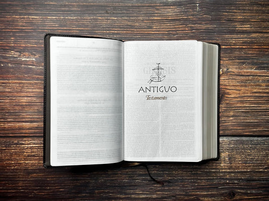 Biblia de Estudio Patrística RVR, imitación piel marrón
