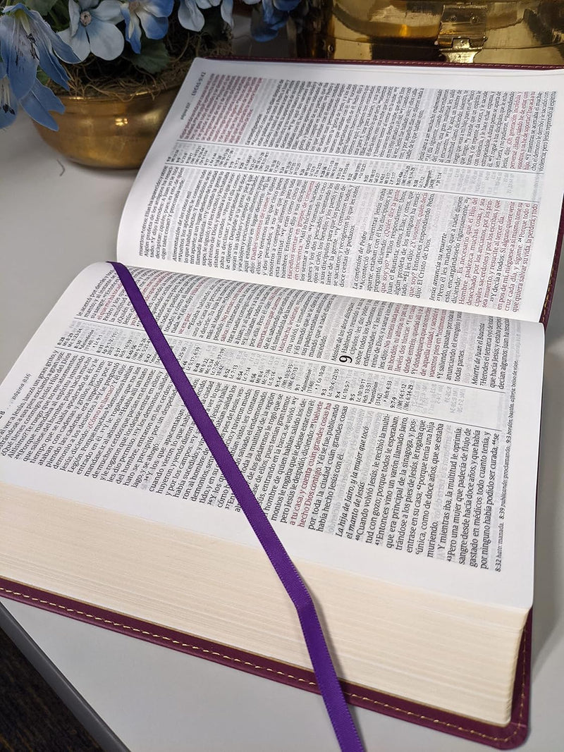 Cargue la imagen en el visor de la galería, Biblia RVR 1960, Edición de referencia, ultrafina, Letra Grande, imitación piel ciruela
