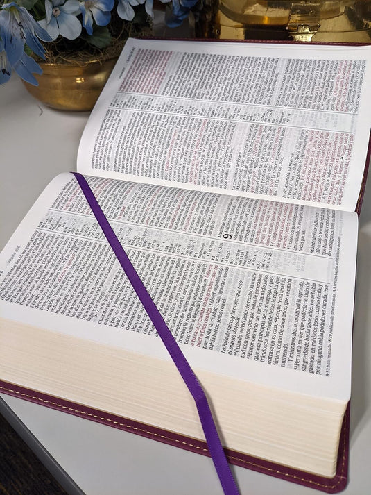 Biblia RVR 1960, Edición de referencia, ultrafina, Letra Grande, imitación piel ciruela