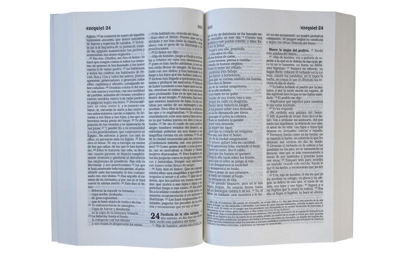 Cargue la imagen en el visor de la galería, Biblia Católica, Letra Grande, tapa rústica
