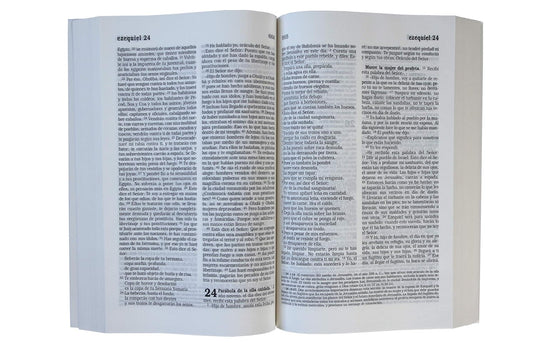Biblia Católica, Letra Grande, tapa rústica