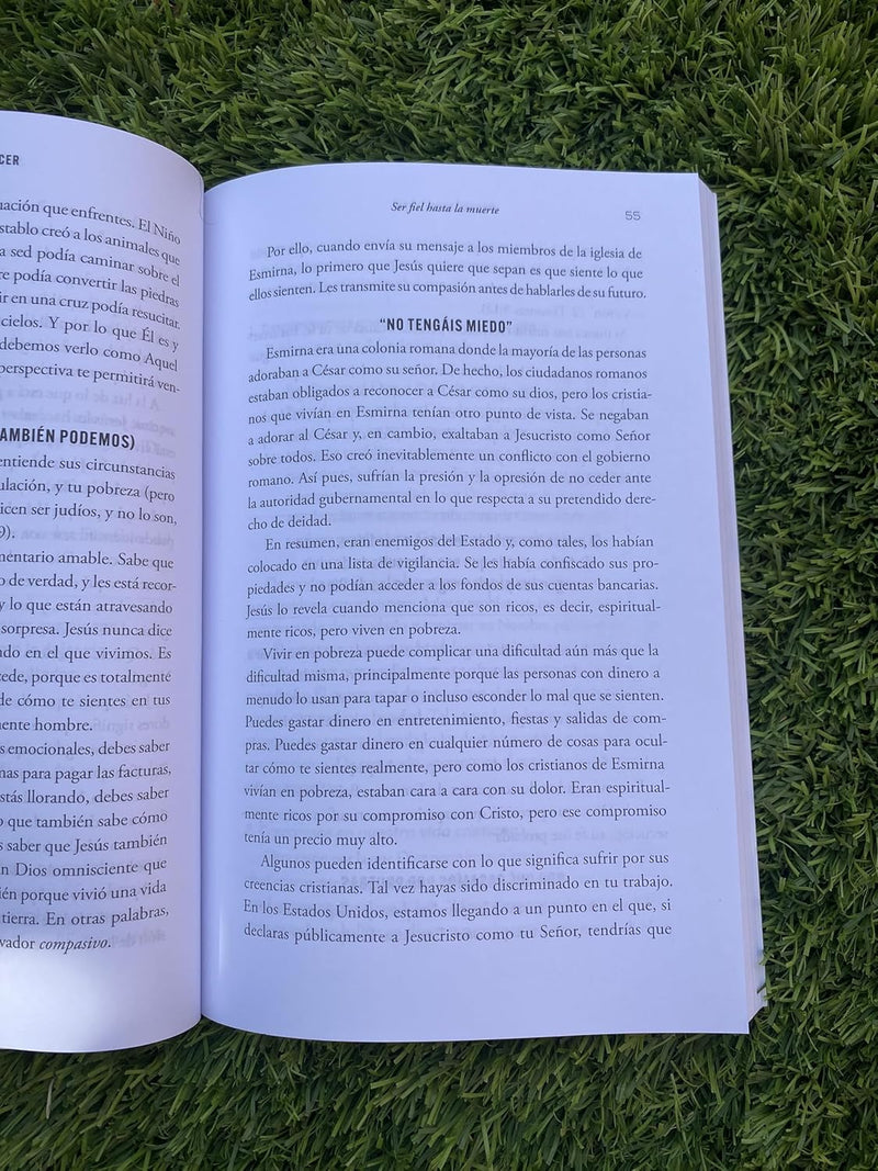 Cargue la imagen en el visor de la galería, Poder para vencer: El mensaje a las siete iglesias de Apocalipsis
