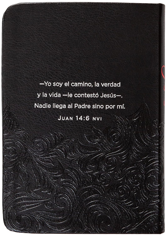 Jesús en rojo: 365 meditaciones sobre las palabras de Jesús