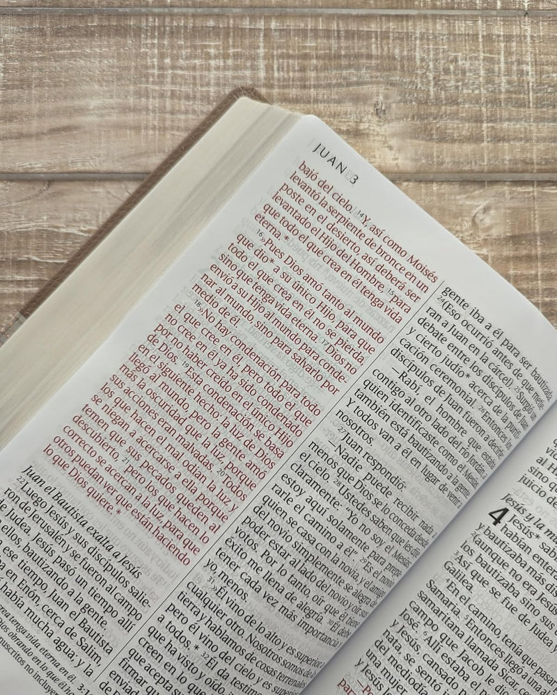 Cargue la imagen en el visor de la galería, Biblia NTV, Letra Súper Gigante, con índice, imitación piel beige pájaro
