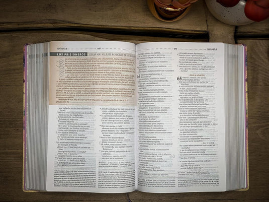 Biblia de Estudio para la Mujer NVI, Tela lila
