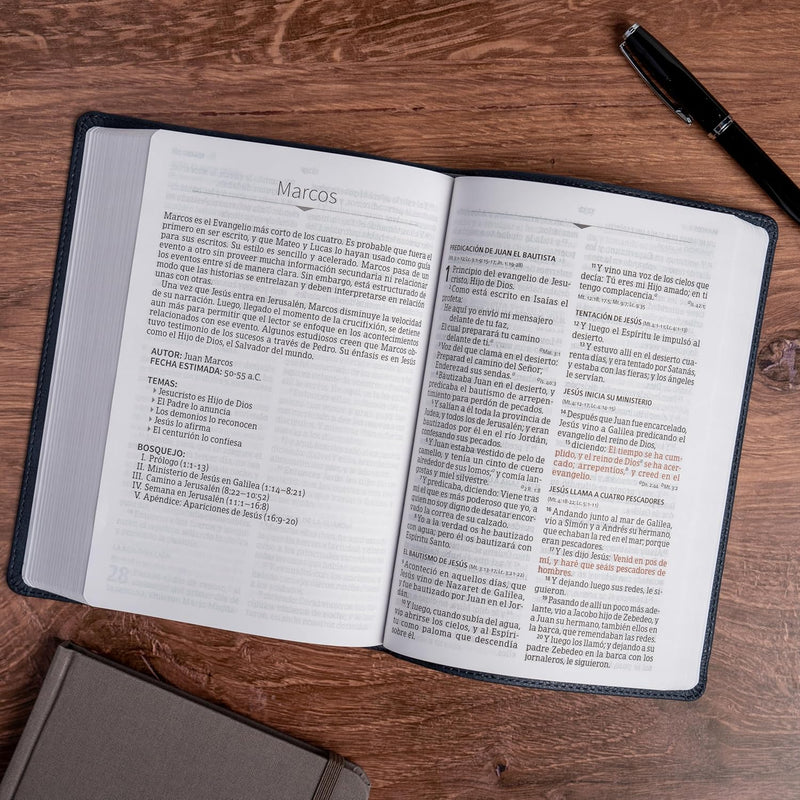 Cargue la imagen en el visor de la galería, Biblia RVR 1960, Letra Grande, Tamaño Manual, edición especial, león ceniza
