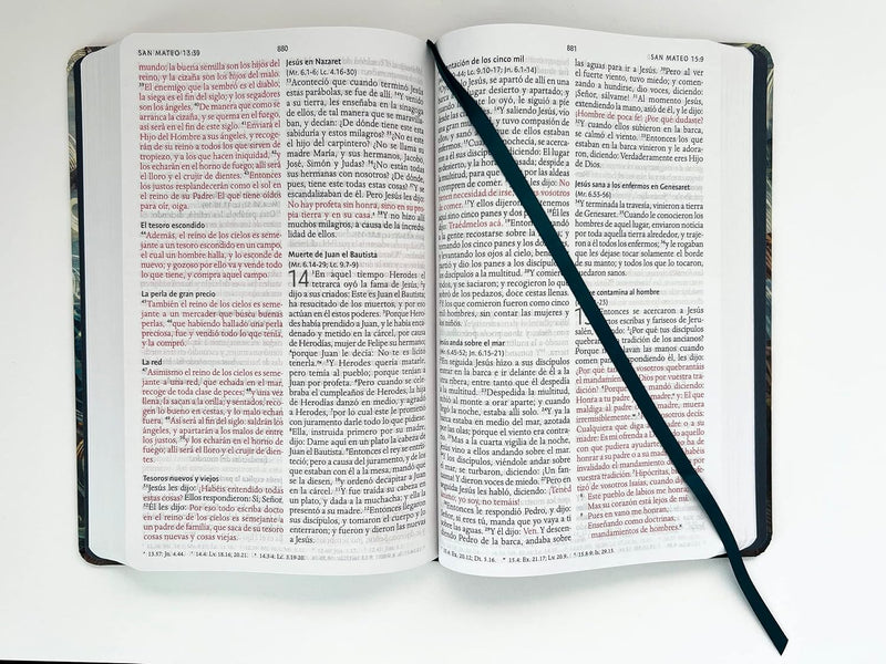 Cargue la imagen en el visor de la galería, Biblia RVR 1960, Letra Grande, tapa dura/tela nombres de Dios
