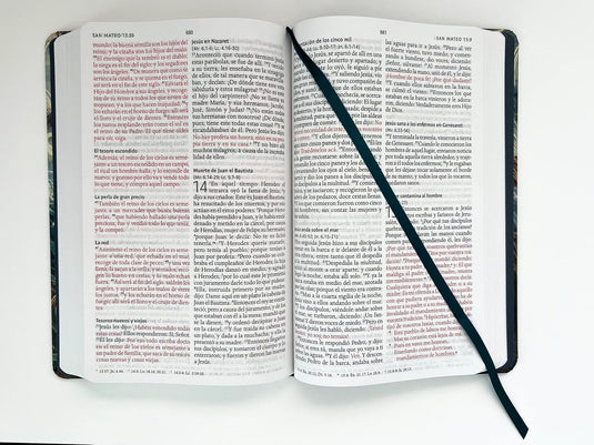 Biblia RVR 1960, Letra Grande, tapa dura/tela nombres de Dios