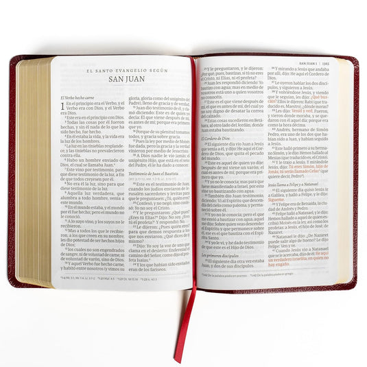 Biblia RVR 1960, Letra Gigante, imitación piel borgoña